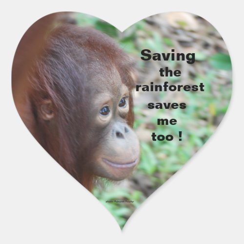 Wildlife Save rainforest  animals Heart Sticker