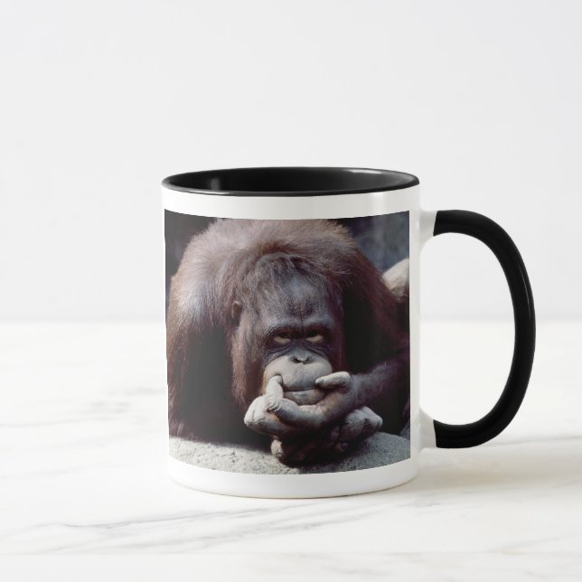Wildlife Set - Primates 10 Mug (Right)