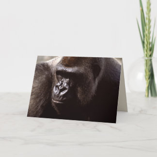 Wildlife Set - Primates 13 Card