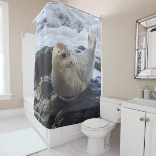 Wildlife shower curtain, harbor seal, marine life shower curtain Zazzle