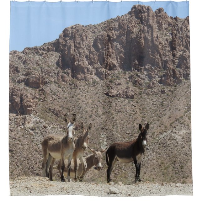 Wildlife shower curtain, wild burros, Arizona Curtain (Front)