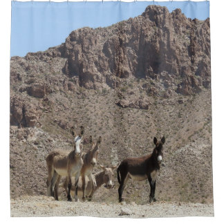 Wildlife shower curtain, wild burros, Arizona Shower Curtain