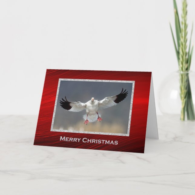 Wildlife Snow Goose Photo Christmas Holiday Card (Front)
