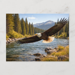 Wildlife Soaring Bald Eagle Postcard
