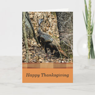 Wildlife Thanksgiving Card, Turkey in the Forest Holiday Card