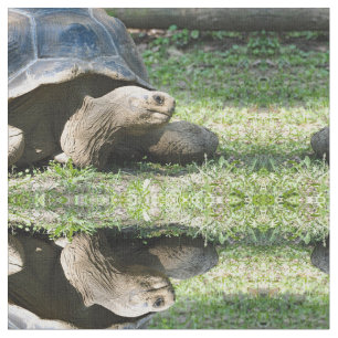 Wildlife Tortoise Photo Fabric