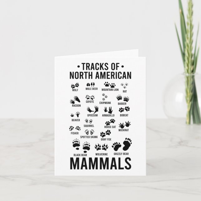 Wildlife Tracks Of North American Mammals - Wildli Card (Front)