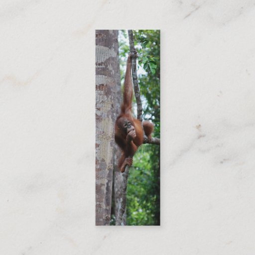 Customizable Wildlife Tree Hugger Mini Bookmarks Business Cards