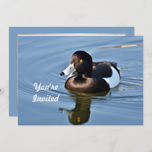 Wildlife Tufted Duck Blue Water Photo Birthday Invitation