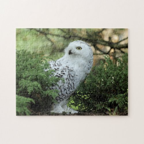 Wildlife White Owl Photo Jigsaw Puzzle