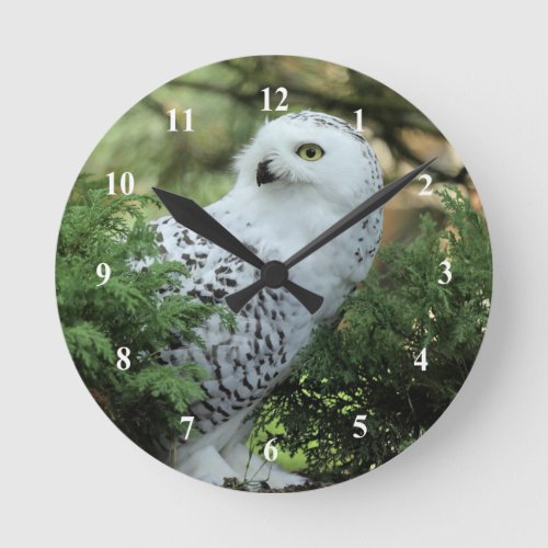 Wildlife White Owl Photo Round Clock