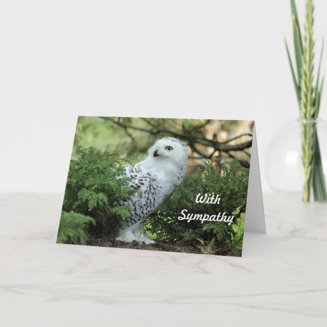 Wildlife White Owl Photo Sympathy Card (Front)