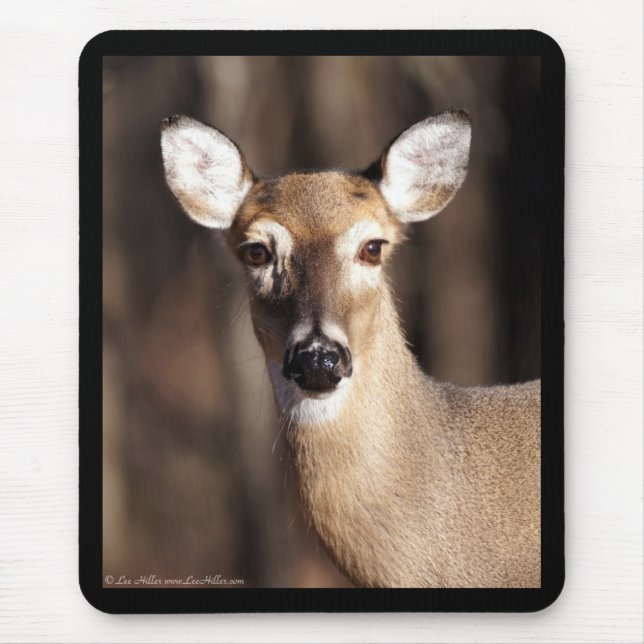 Wildlife Whitetail Deer Doe Portrait Mouse Pad (Front)