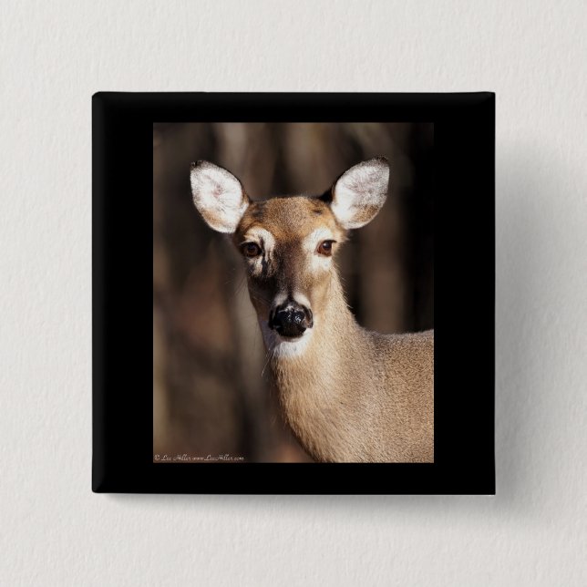 Wildlife Whitetail Deer Doe Portrait Pinback Button (Front)