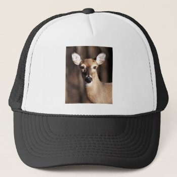 Wildlife Whitetail Deer Doe Portrait Trucker Hat by leehillerloveadvice at Zazzle