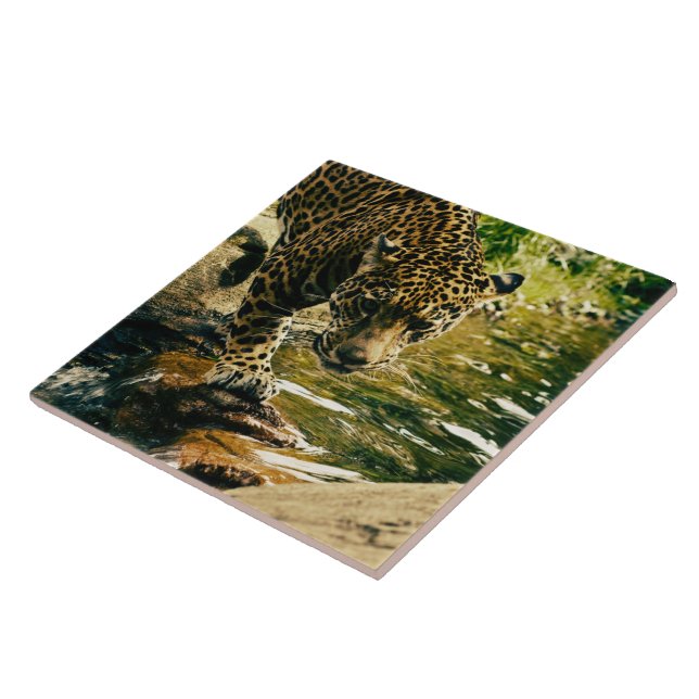 Wildlife Wildcat Animal Leopard Nature Ceramic Tile (Side)