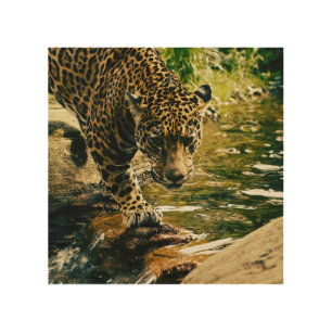 Wildlife Wildcat Animal Leopard Nature  Wood Wall Art
