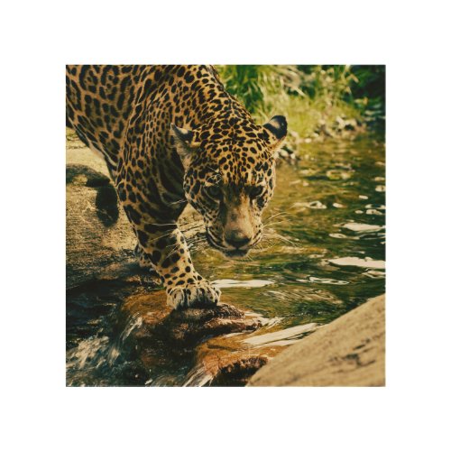 Wildlife Wildcat Animal Leopard Nature  Wood Wall Art