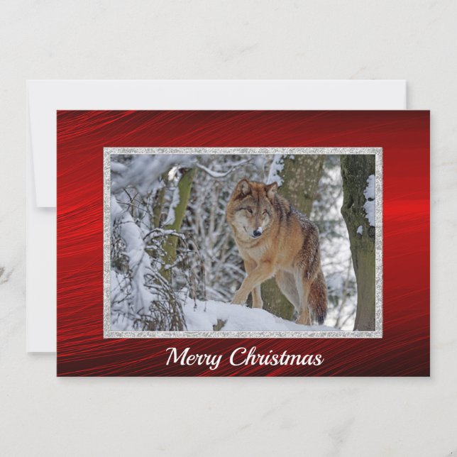 Wildlife Wolf Snow Photo Christmas Flat Holiday Card (Front)