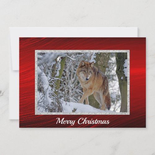 Wildlife Wolf Snow Photo Christmas Flat Holiday Card