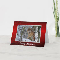 Wildlife Wolf Snow Photo Christmas Holiday Card