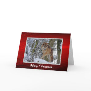 Wildlife Wolf Snow Photo Christmas Holiday Card