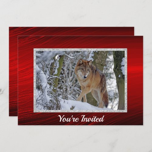 Wildlife Wolf Snow Photo Christmas Invitation