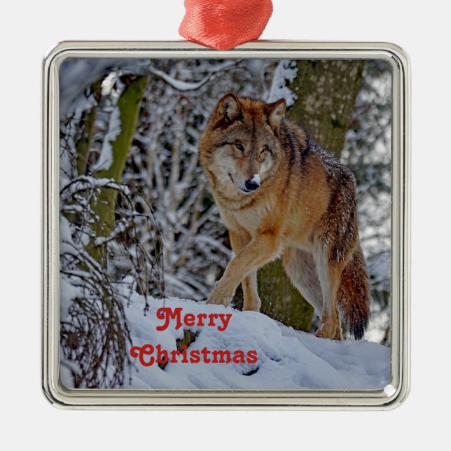 Wildlife Wolf Snow Photo Christmas Metal Ornament (Front)