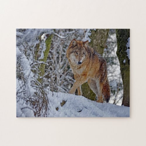 Wildlife Wolf Snow Photo Jigsaw Puzzle