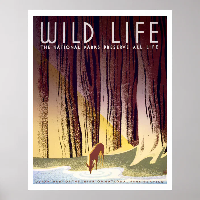 National Parks Preserve Wildlife Stretched Canvas Giclee Art WPA Poster Art 17 