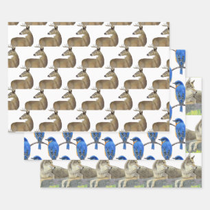 Wildlife Wrapping Paper Sheets