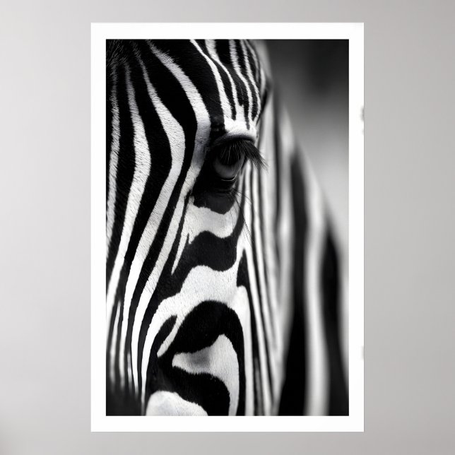 Wildlife Zebra Poster, Monochrome Stripes, Eye Poster (Front)
