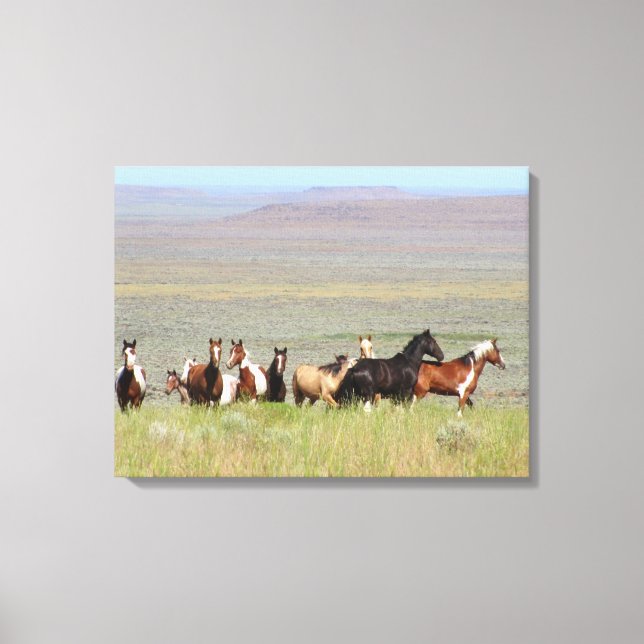 WildWest Mustangs Wrapped Canvas Print (Front)