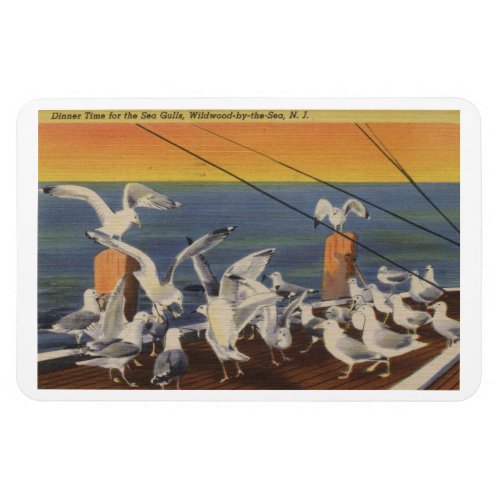 Wildwood NJ Seagulls Vintage Magnet