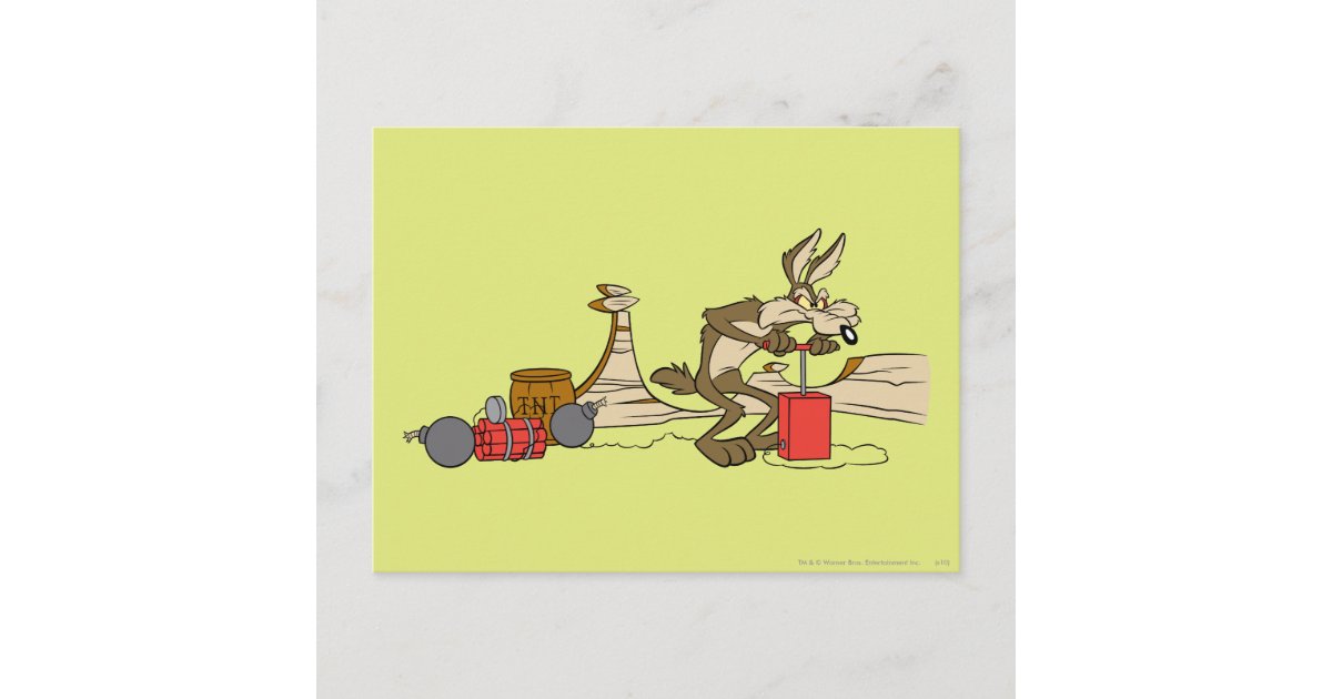 Wile E Coyote Acme Products 11 2 Postcard | Zazzle