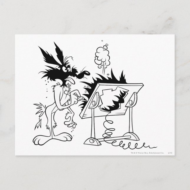 WILE E. COYOTE™ Acme Products 6 Postcard (Front)