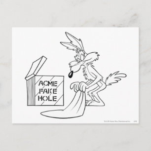 WILE E. COYOTE™ Acme Products 7 Postcard