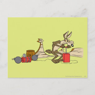 WILE E. COYOTE™ ACME TNT POSTCARD