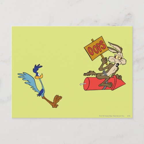 Wile E Coyote and ROAD RUNNER Acme Products 5 2 Postcard