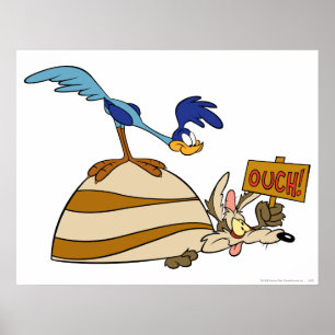 WILE E. COYOTE™ and ROAD RUNNER™ Boulder Poster