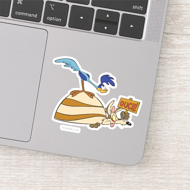WILE E. COYOTE™ and ROAD RUNNER™ Boulder Sticker (Detail)