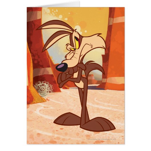 WILE E. COYOTE™ Arms Crossed Cards (Front)