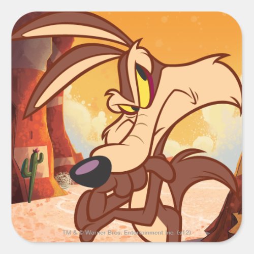 WILE E COYOTE Arms Crossed Square Sticker