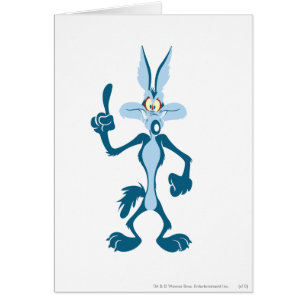 WILE E. COYOTE™ Blue Aha! Cards