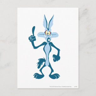 WILE E. COYOTE™ Blue Aha! Postcard