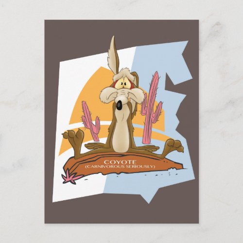 Wile E Coyote Carnivorous Seriously Postcard