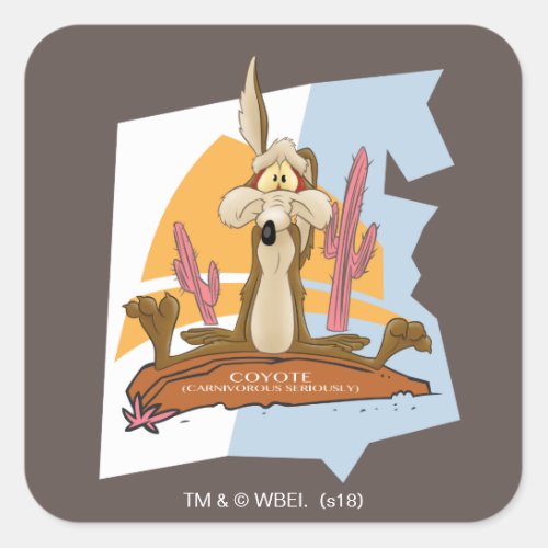 Wile E Coyote Carnivorous Seriously Square Sticker