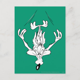 WILE E. COYOTE™ Dive Bomb Postcard