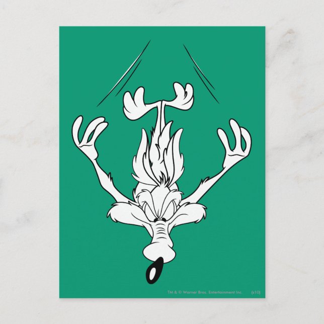 WILE E. COYOTE™ Dive Bomb Postcard (Front)