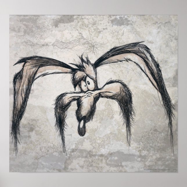 WILE E. COYOTE™ Down on his Luck Poster (Front)